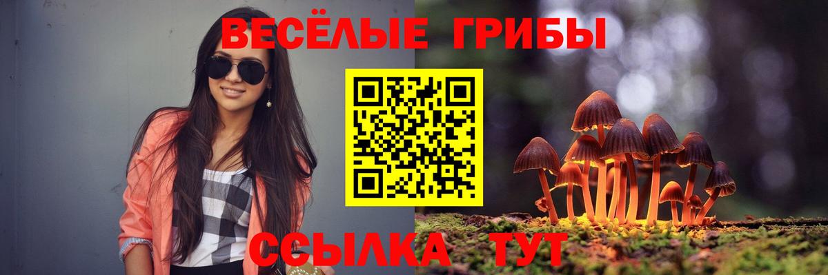 Галлюциногенные грибы прущие грибы Светлоград